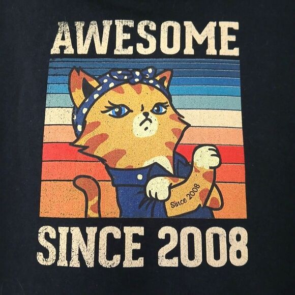 "Awesome Since 2008" Graphic Hoodie Birthday Gift Colorful Sweatshirt Cat Theme - Picture 2 of 5